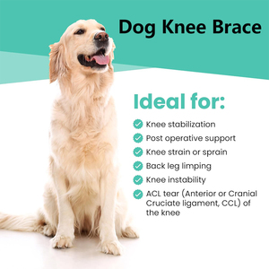 Pet Dog <b>Knee</b> Brace Hip <b>Support</b> Sleeve for Torn ACL Injury Joint Hind Legs Recovery Wraps Small Large Dogs <b>Knee</b> <b>Support</b> Braces - Product Image 5