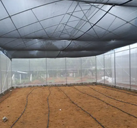 Serre hydroponique tropicale à prix réduit, grande taille, à toit en dents de scie, avec structure en acier, contrôle climatique et installation facile pour la culture de tomates
