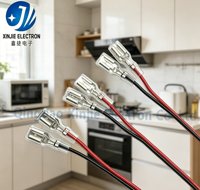 Kabel Harness Konektor Spade Betina 4.8mm 6.3mm Custom, Kabel UL1007 Merah Hitam Berisolasi PVC dengan Terminal Crimp untuk Kelistrikan