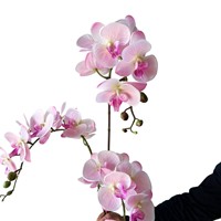 Anggrek Phalaenopsis 'Anna' yang Mirip Asli dengan 7 Bunga Besar, Lembut, dan Menyerupai Karet/PVC, Cocok untuk Meja TV Ruang Tamu yang Elegan