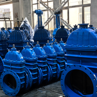 Vanne à opercule à bride conforme à la norme BS5163, vanne de régulation à opercule en fonte ductile GGG50 à siège souple pour eau municipale