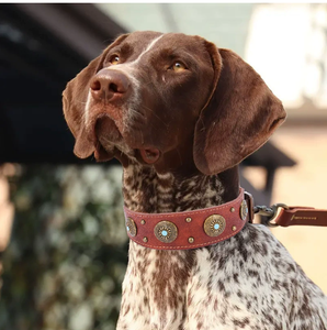 Vente en gros collier de chien en PU style vintage classique réglable pour berger allemand Rottweiler - Product Image 4