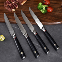 Nouvelle arrivée 4 pièces 5 pouces 67 couches VG-10 couteau à steak damas ensemble de couteaux à steak ultra pointus avec poignée G10