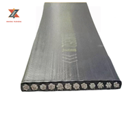 Pièces de courroie de traction en acier pour ascenseur Bluelight, pour usage en villa, modèle AAA717X1/AAA717AD1/AAA717AJ1