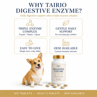 Comprimés d'enzymes pancréatiques pour chiens : Complexe Trypsine, Pepsine, Lipase – 100 unités – Soutien digestif quotidien naturel – Vente en gros