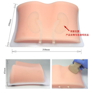 Model tusukan ginjal manusia sains medis dipandu oleh <span class=keywords><strong>Ultrasound</strong></span> untuk latihan B praktek pengajaran perforasi <span class=keywords><strong>Renal</strong></span> ultrasonik - Product Image 4