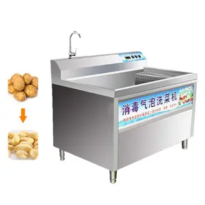 Fruit Vegetable Washing Vegetable Purifier Vegetable Fruit Washing Machine Ginger Cleaning Machine