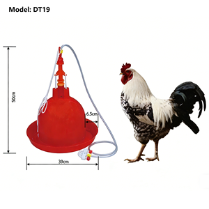Nuevo Bebedero Automático Tipo Campana Plasson <span class=keywords><strong>para</strong></span> Aves <span class=keywords><strong>de</strong></span> Corral, <span class=keywords><strong>Pollos</strong></span>, Patos, Gansos y Cría <span class=keywords><strong>de</strong></span> Aves - Product Image 5