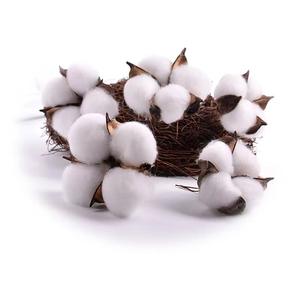 AYOYOChristmas Cadeau Bouquet De Noël Coton Fleurs Séchées Décoration De <span class=keywords><strong>La</strong></span> Maison Entourant Décoration - Product Image 5