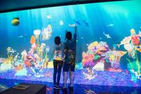 Panel de Pared Interactivo con Proyección para Juegos en Interiores, Panel Sensorial para Niños, Área de Juego Infantil