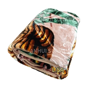 Vente en gros <span class=keywords><strong>Couverture</strong></span> américaine en vison de Dubaï Couvertures de lit double bon marché Couvertures raschel épaisses de haute qualité pour l'hiver King Size 4kg 6kg - Product Image 3