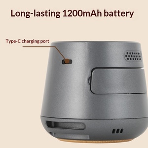 Nuova Scatola per Moxibustione Ricaricabile a Batteria in Legno, Universale per Uso Domestico Addominale, Controllo Fumo, Rimozione Umidità, Senza Fumo - Product Image 4