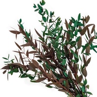 Daun Eucalyptus Asli dan Diawetkan Grosir untuk Hari Valentine - Sentuhan Alami yang Nyata
