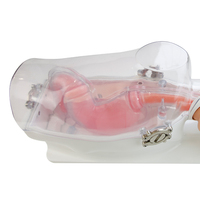 Fantom de Órgano Biónico Médico: Simulador Realista del Tracto Gastrointestinal para Práctica de Habilidades en Endoscopia Robótica