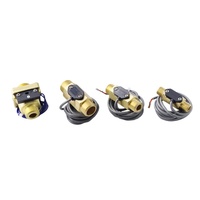 Capteur de débit d'eau en laiton avec interrupteur à flotteur, filetage BSPP 1/4" 1/2" 3/4" 1", interrupteur à contact à deux fils pour CVC, refroidisseur, pompe laser