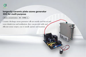 स्थिर ओजोन जनरेटर सिरेमिक प्लेट 30 ग्राम 50 ग्राम जनरेटर ओजोन जल उपचार - Product Image 3