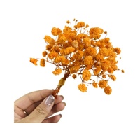 Mini Bouquet de Fleurs Séchées Naturelles, Boîte Cadeau Décorative, Souvenir de Mariage, Accessoire, Petite Fleur Préservée, Corsage Chine