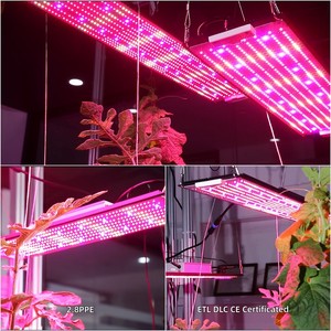 2026 Longood nhà máy ETL DLC CE 150W 320W 400W Hợp kim nhôm cơ thể lượng tử heo rừng Bảng điều chỉnh quang phổ đầy đủ dẫn Bảng điều chỉnh phát triển đèn - Product Image 3