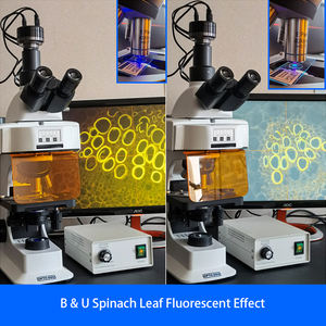 OPTO-EDU A16.2601-B4プロフェッショナル蛍光双眼顕微鏡 - Product Image 3