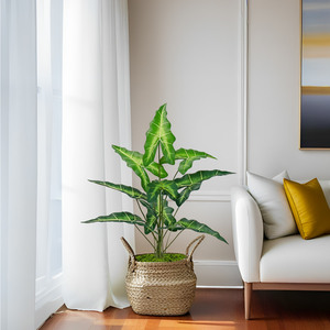 Planta Artificial Salyan Alocasia en Maceta, Árbol Artificial para Interiores, Decoración para Sala de Estar, Accesorios de Fotografía - Product Image 3