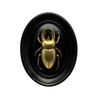 Sculpture murale ovale noire antique écologique Art Déco Araignée dorée Scorpion Coccinelle Vintage Ornement en résine Décoration murale suspendue