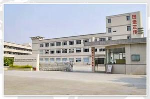 Fertilizzanti ad Alto Contenuto di <span class=keywords><strong>Fosforo</strong></span> e Potassio 0-400-500 BELFNG <span class=keywords><strong>per</strong></span> Promuovere la Crescita Generale delle Piante - Product Image 6