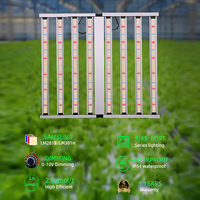 Cajoroy Luz De Cultivo 1000W élèvent la lumière sous l'auvent élèvent des lumières LED à spectre complet pour les plantes d'intérieur