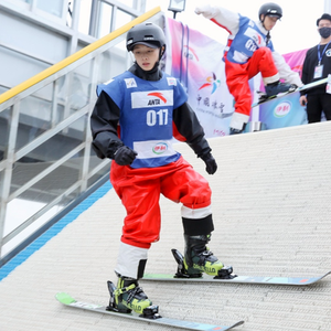 2025 vendita calda di alta qualità produttori durevoli parco fungo cortile blu bianco artificiale neve coperta pendio - Product Image 4