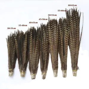 Hot sale Carnival Feather 35-40cm Reeves Pheasant Tail Feathers