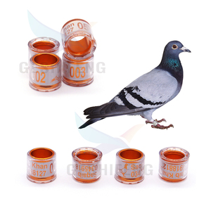 Hot Selling Mixed Order Multicolor Duivenvoetring Met Woordoorbellen Duurzaam Vogelracevogelgereedschap - Product Image 5