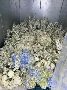 Remorque frigorifique à vendre, 12 pieds, chambre froide, camion frigorifique, remorque réfrigérée, remorque de refroidissement - Product Image 6