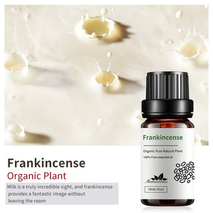 Aceite Esencial de Árbol de Té Natural a Granel 10ml 100% Puro con Incienso, Canela, Cedro y <span class=keywords><strong>Cajeput</strong></span> para Difusor de Coche y Cuidado de la Piel al por Mayor - Product Image 3