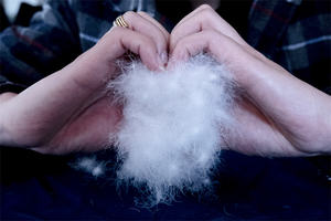 Plumón de ganso blanco/gris, plumón de 2-4cm, <span class=keywords><strong>4</strong></span>-6cm, <span class=keywords><strong>5</strong></span>%-95% 90%, venta al por mayor - Product Image 5