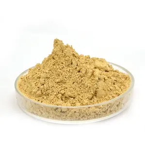 JKA Supply 8%-80% Ginsenoside Panax Ginseng Root Extract