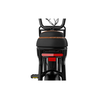 Vélo cargo électrique KOOLUX X9 PRO 20 pouces avec moteur arrière - Cadre en acier, moteur sans balais 250W, autonomie 100-180 km