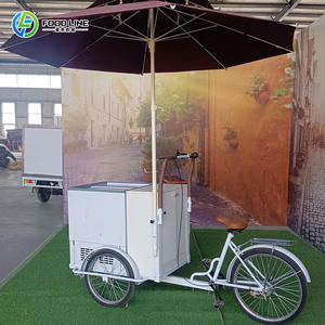 Carrito de Helados con Precio, Carritos de Helados en Los Ángeles, Carrito de Helados con Tapa y Marco, Carrito de Helados con Bicicleta - Product Image 6