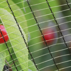 Nouveaux produits : <span class=keywords><strong>Filet</strong></span> <span class=keywords><strong>anti</strong></span>-<span class=keywords><strong>grêle</strong></span> pour vergers et maisons, protection <span class=keywords><strong>anti</strong></span>-givre - Product Image 6