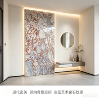 Dalle de marbre blanc et rouge bordeaux de qualité supérieure, à veinage mosaïque breccié, pour mur de douche de salle de bain