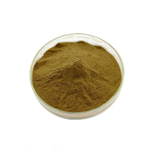 Tự nhiên bổ sung tinh dịch cuscutae chiết xuất Trung Quốc <span class=keywords><strong>dodder</strong></span> chiết xuất hạt bột cuscuta reflexa chiết xuất bột - Product Image 2