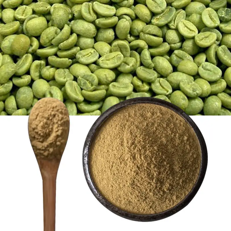 Extrato de grãos de café verde em pó 100% puro natural 50% ácido clorogênico verde café