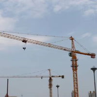 Mini-grue à tour de 38 m de portée pour la construction avec moteur, boîte de vitesses, roulement, moteur facile à utiliser QTZ31.5-HS3808