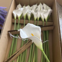 Fleurs artificielles Calla Lily de haute qualité YM, toucher réel, tige unique, fleur blanche pour les centres de table de mariage, la décoration de la maison et des fêtes
