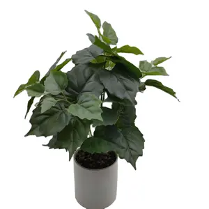 25Cm Kunstmatige Nep Geluk Boom Plant In Keramische Pot/Vaas Voor Huisdecoratie