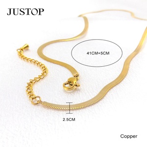 Joyería de moda Moda Delicado minimalista Ecológico Acero inoxidable 18K Chapado en oro Cadena de eslabones Collar de serpiente Unisex - Product Image 3