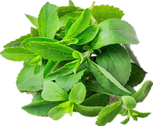 Polvo <span class=keywords><strong>de</strong></span> <span class=keywords><strong>Stevia</strong></span> Venta al por mayor Steviosides 80% Stevioside Steiva Extracto <span class=keywords><strong>Stevia</strong></span> Azúcar <span class=keywords><strong>Precio</strong></span> a granel - Product Image 2