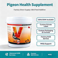 Complément Nutritionnel Personnalisé pour Pigeons OEM ODM, Pilules Vitaminées pour Pigeons de Course Geliwang, Approvisionnement Direct Usine, Service de Marque Privée