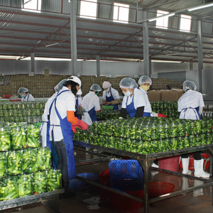 แตงกวากระป๋องสามารถเพิ่มความสดชื่นและเป็นสมุนไพรให้กับค็อกเทล - Product Image 1