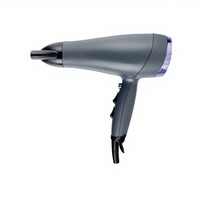 Sèche-cheveux professionnel de salon, moteur ionique DC 2200W, concentrateur, diffuseur pour hôtel et usage domestique