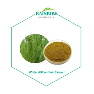 Werkseitige Lieferung 15%-98% Salicin White Willow Bark Extract