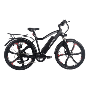 Vélo électrique de style tendance, puissant, batterie au lithium longue portée 48V, 350W, 7 vitesses, 26*2.1 pouces, vélo électrique de montagne - Product Image 4